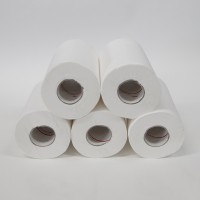  Mini Centre Pull (White) Paper Hand Rolls (12)