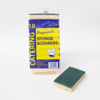 Sponge Scourer Large -10