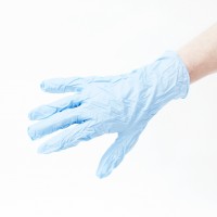 Nitrile Disposable Gloves L G2