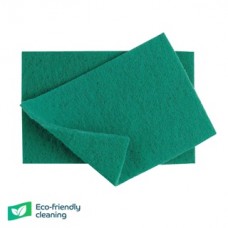Scrubbing Pads Green (10)
